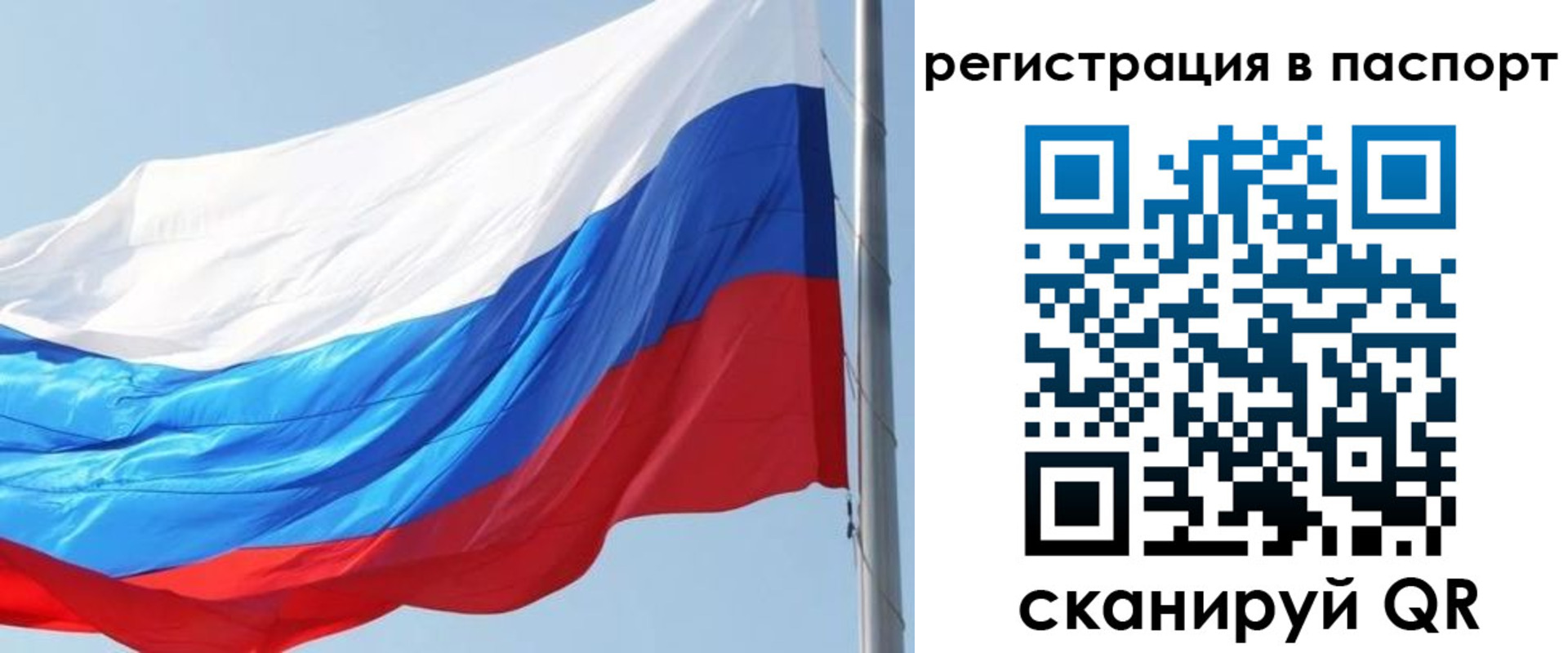 прописка законно в Ярославской области